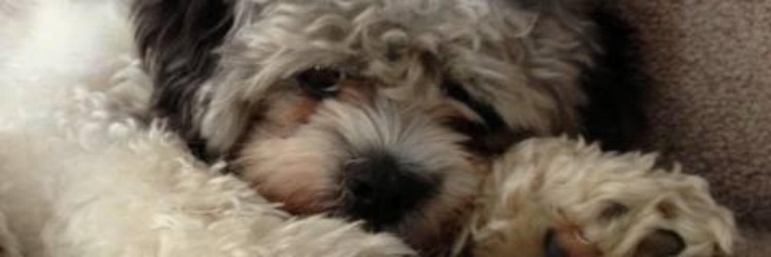 k_mage's profile banner image