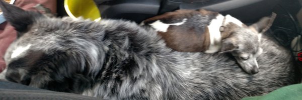 MissySB Profile Banner