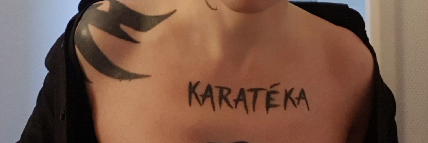 TWINK22CM.TOULOUSE banner