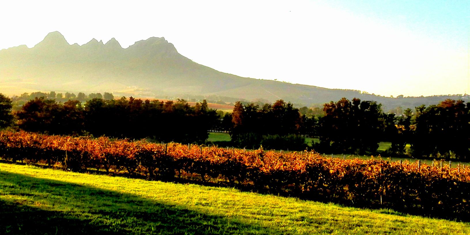 Post House Wines banner