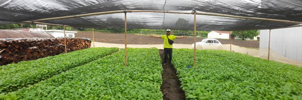 mistercrdv Profile Banner