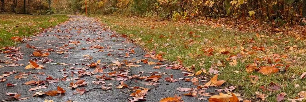 Oct___27's profile banner image