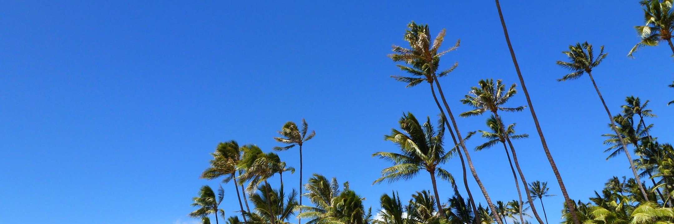 Marcelo Amorim banner