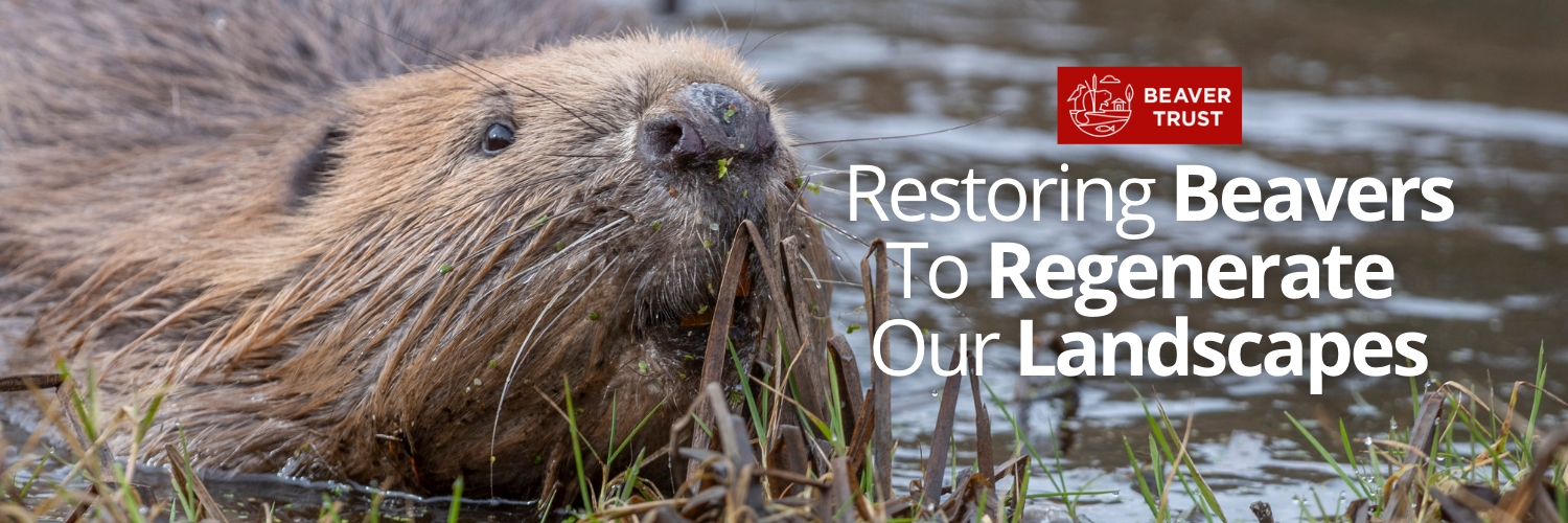 Beaver Trust's banner