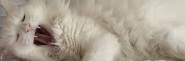 David Driver-Gomm (HL2RTX, RTBR) banner