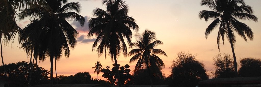 Robert Kowalski banner