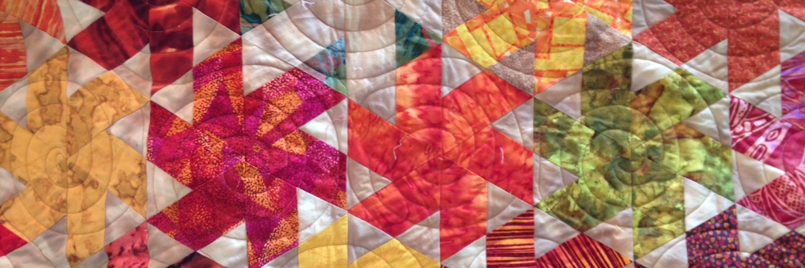 Deranged Covid-Clinger banner