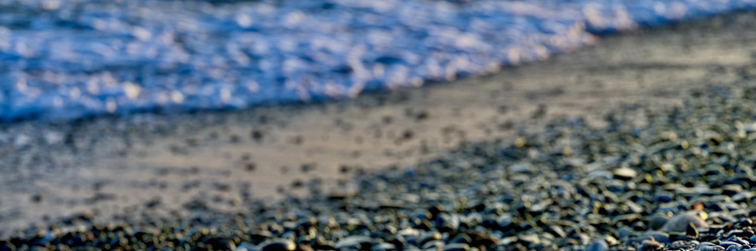 Katya Dreon del Bus banner