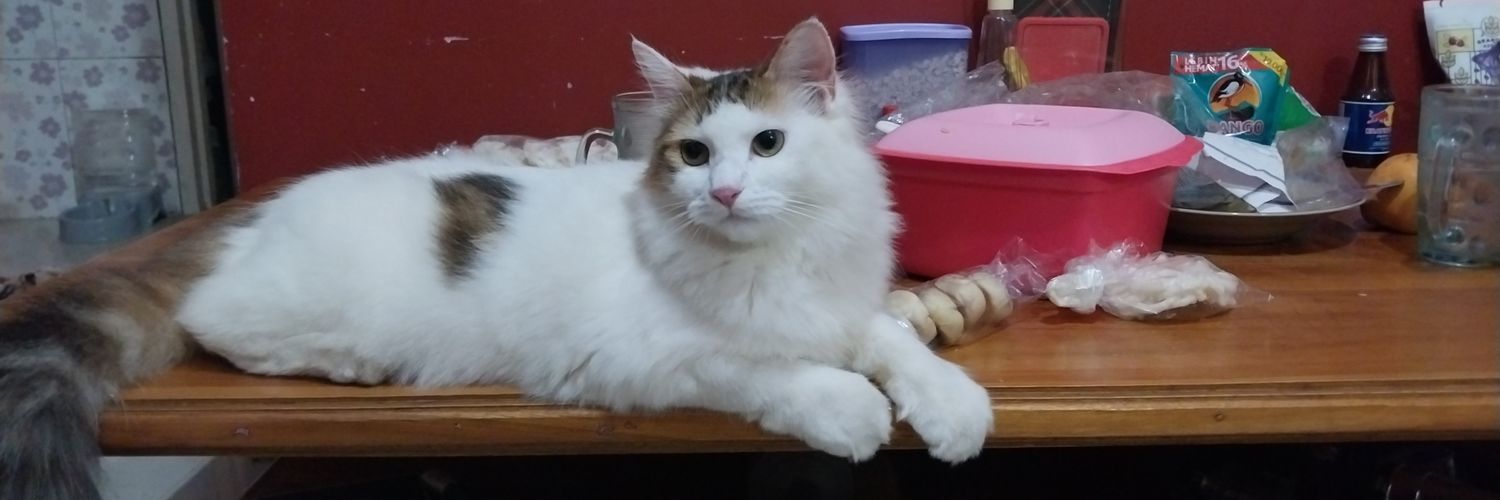Mama Kucing banner
