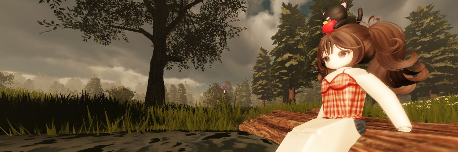 Ajeell banner