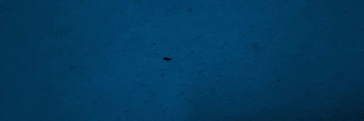 SOLITARlO's profile banner image