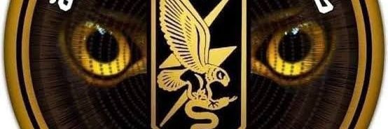 Fox Egypt🦊🇪🇬🇪🇬🔥 banner