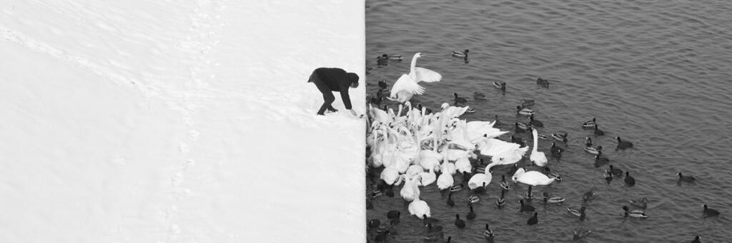 View from the Left banner