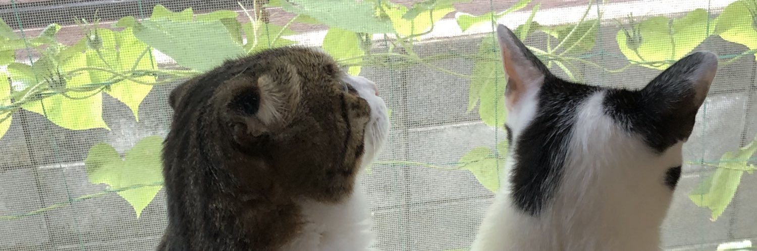 ちょこ@米国株投資 banner