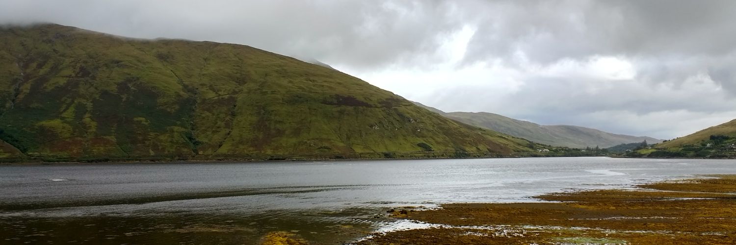 bowtoyoursensei banner