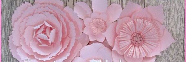 lsaca's profile banner image