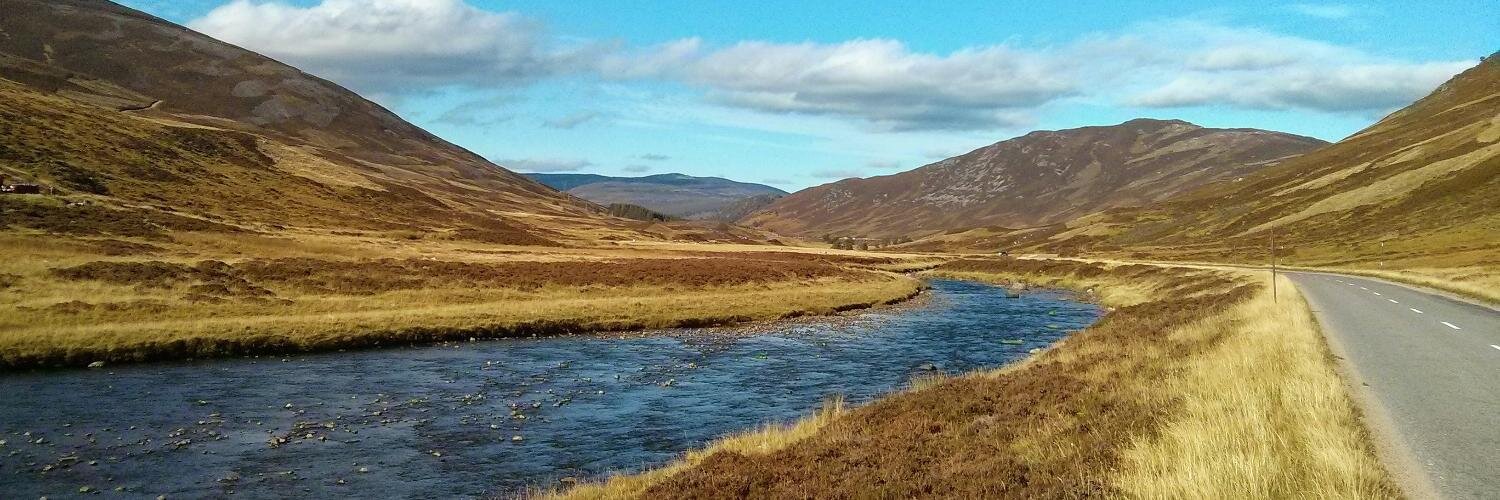 Nils Adermann banner