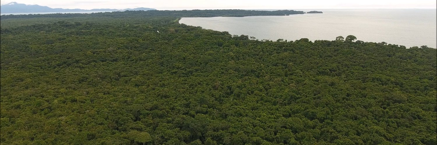 ANCON Panamá banner