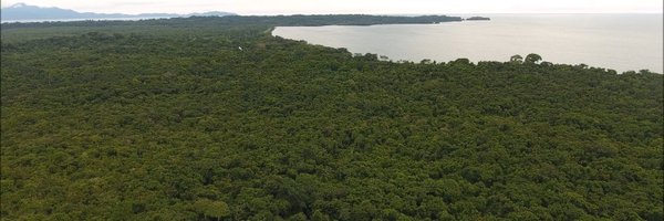 ANCONOrg Profile Banner