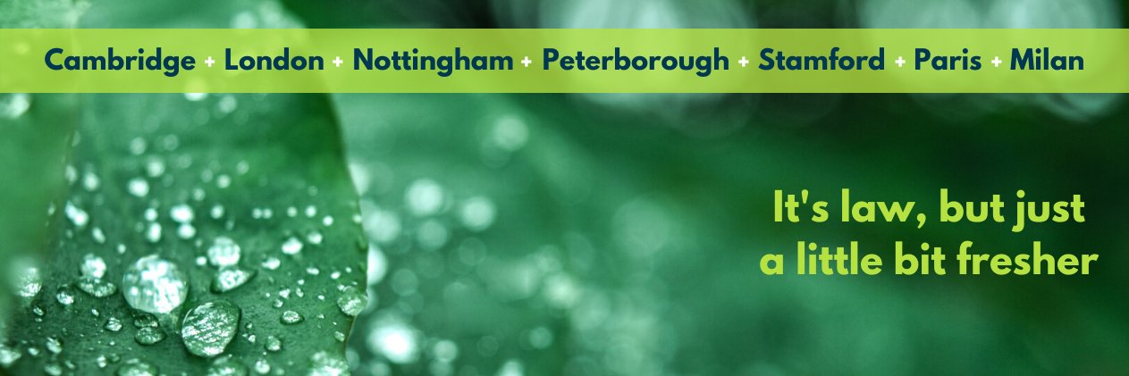 Buckles HR Law banner