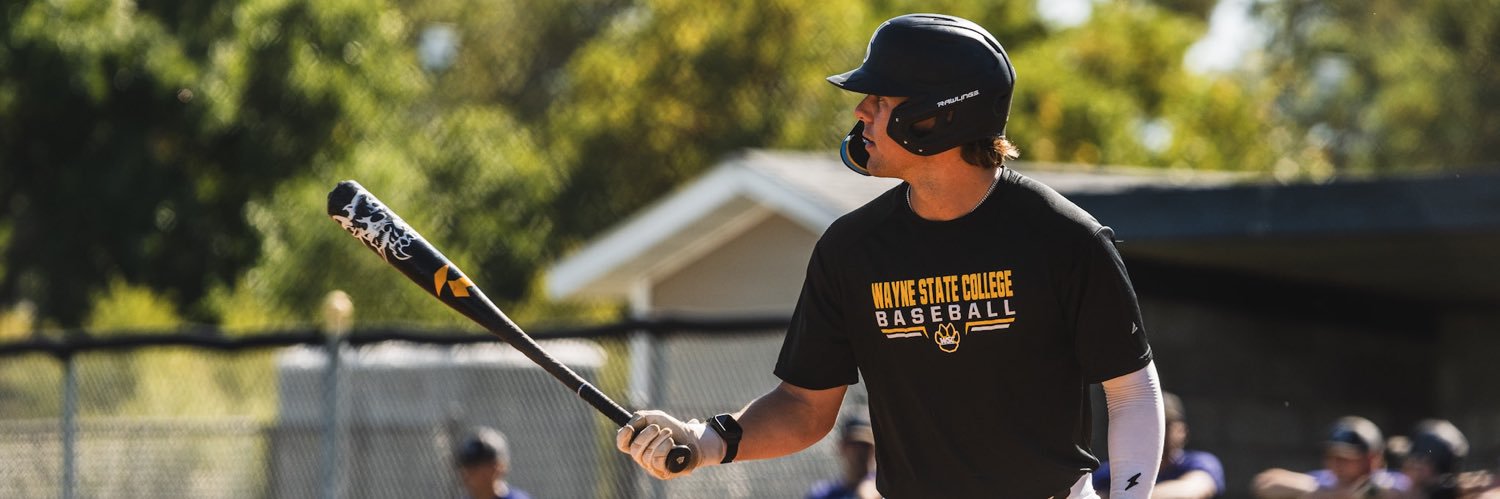 Noah Strizek banner