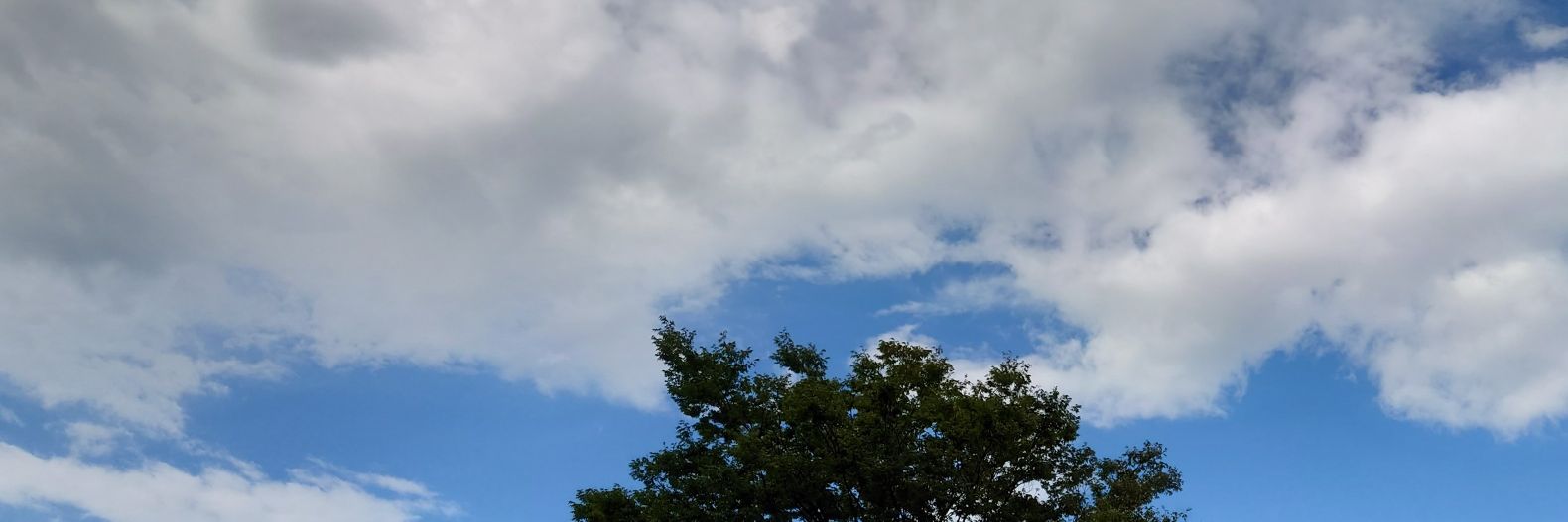ちびまる代 banner