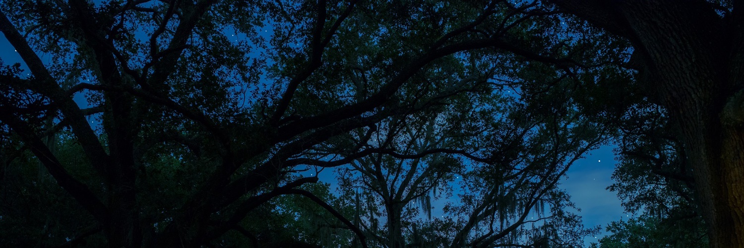 chris_drymon's profile banner image