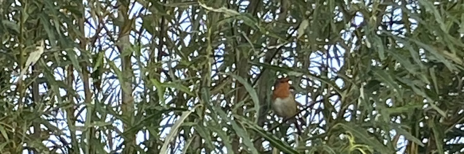 Elaine Francis banner