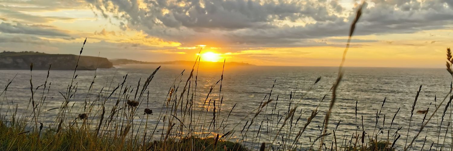 p_canales's profile banner image