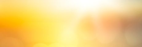 포도모/라디 banner