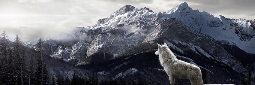 Anarcali52's profile banner image