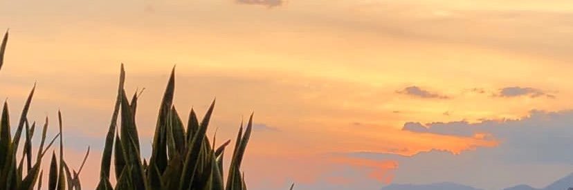 lauballesteros7's profile banner image