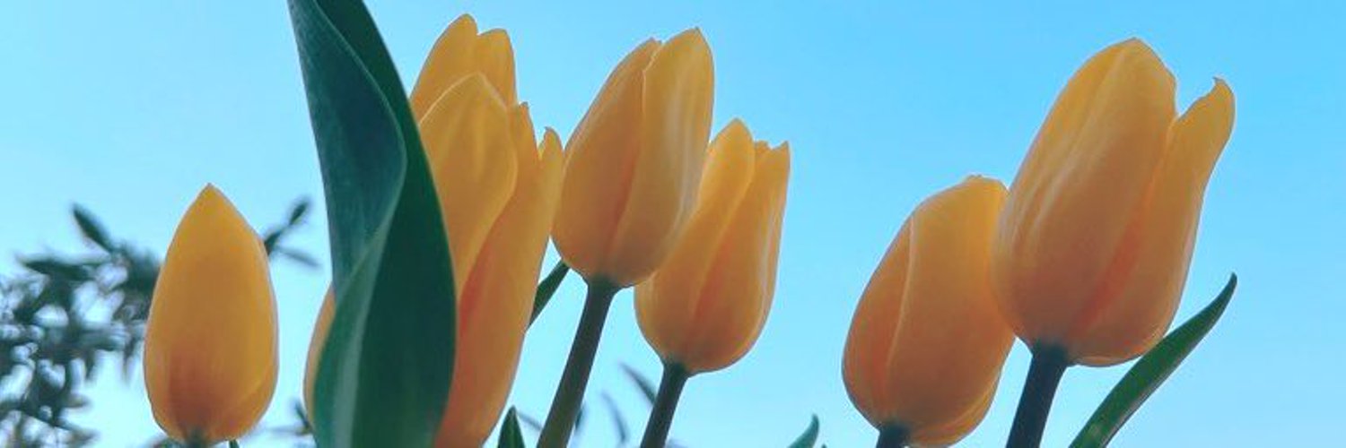 HannahM252's profile banner image