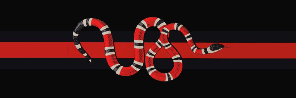 GGCapital banner