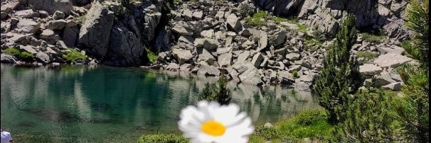 SilviaMartin09's profile banner image