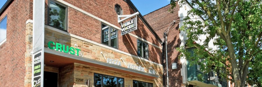 Visible Voice Books banner