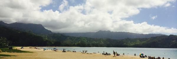 Mr_Lew12 Profile Banner