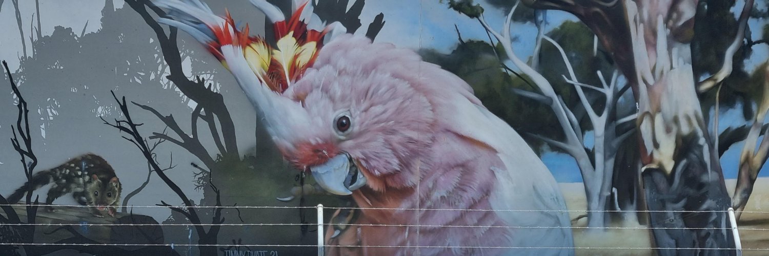 cubshake's profile banner image