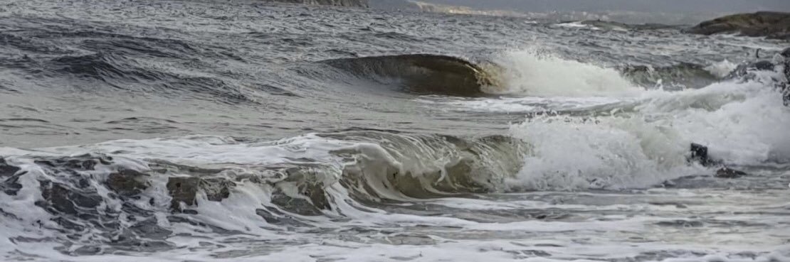 Sissel Guttormsen banner