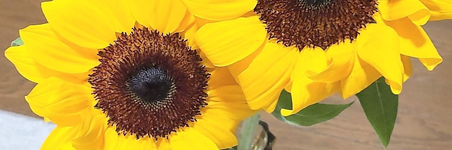 まさじぃ or まっさんかも💦 banner