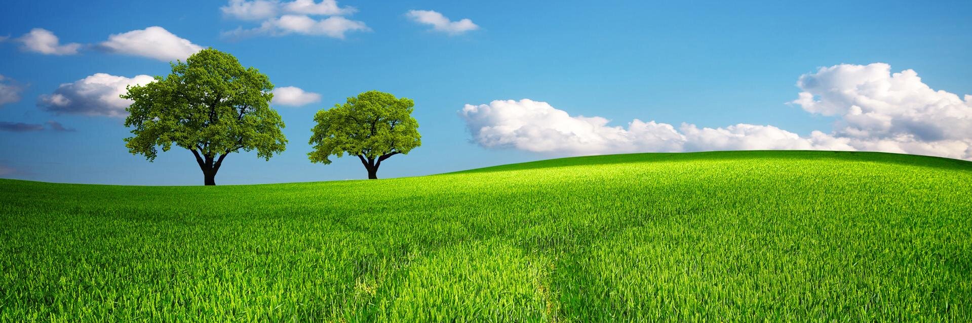 PlanetEnergy's profile banner image