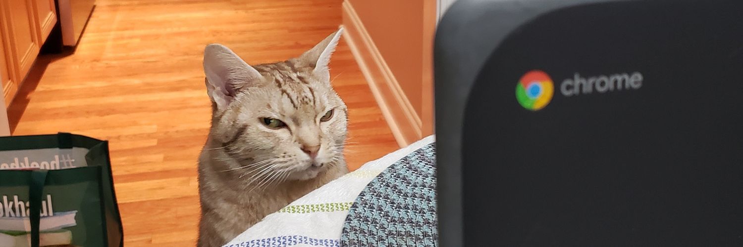 Mia Tsai is on 🟦☁️ banner