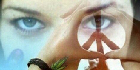 Ame 🌱🌿🌸🌿🌱 banner