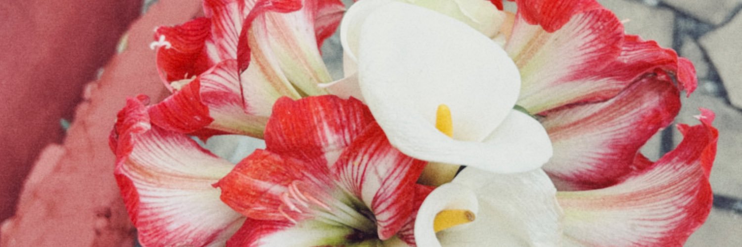 sofi banner