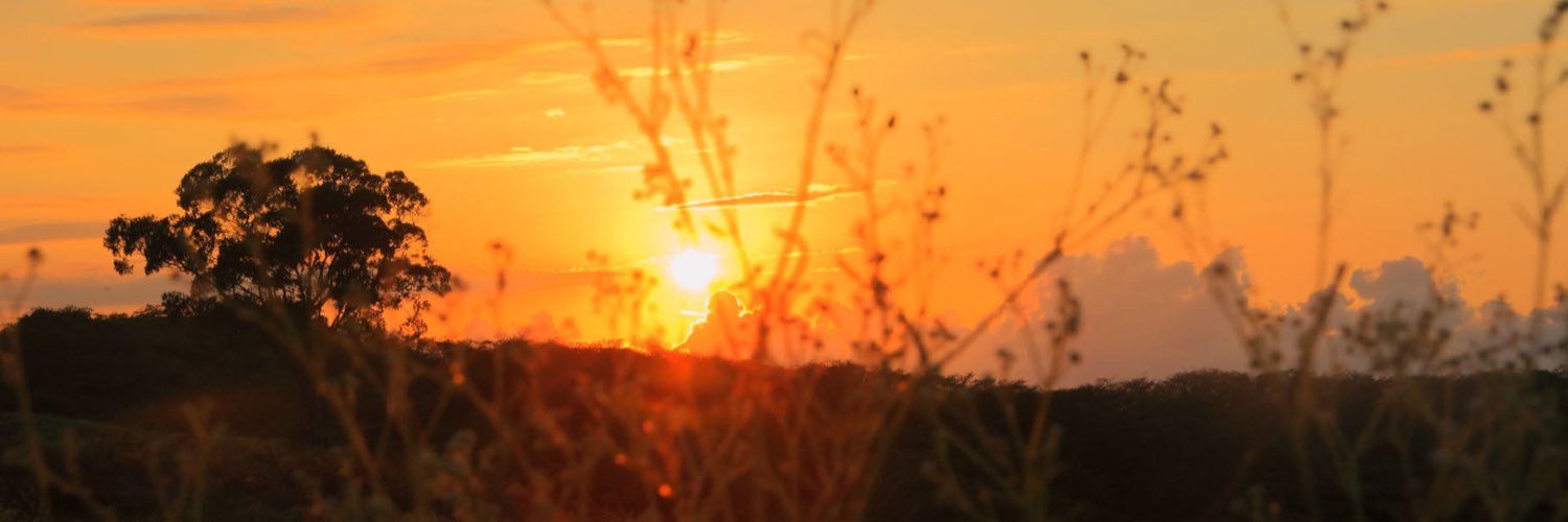 Isabelabaydr's profile banner image