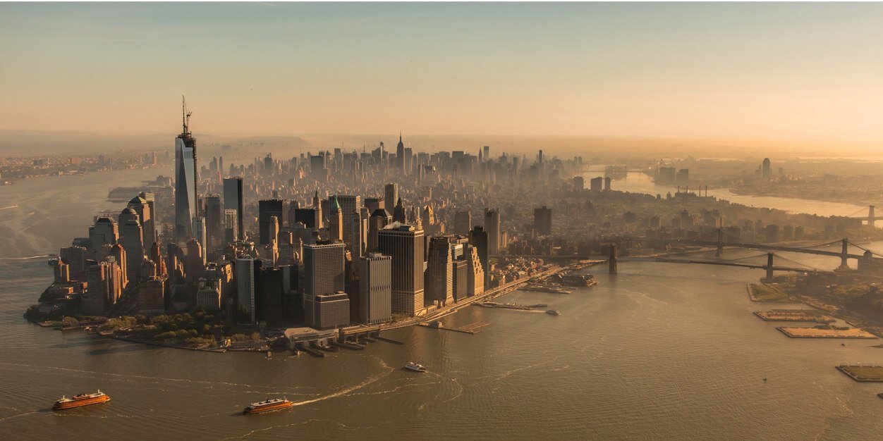 Steve Williams banner