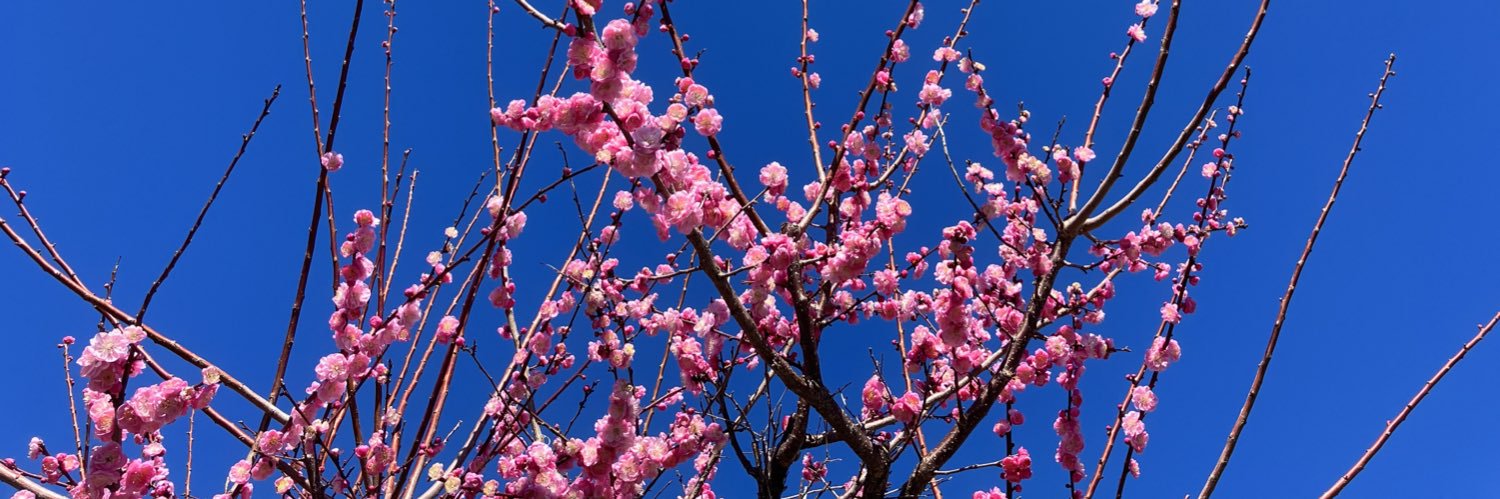 learn.japanese by じゅりあ banner