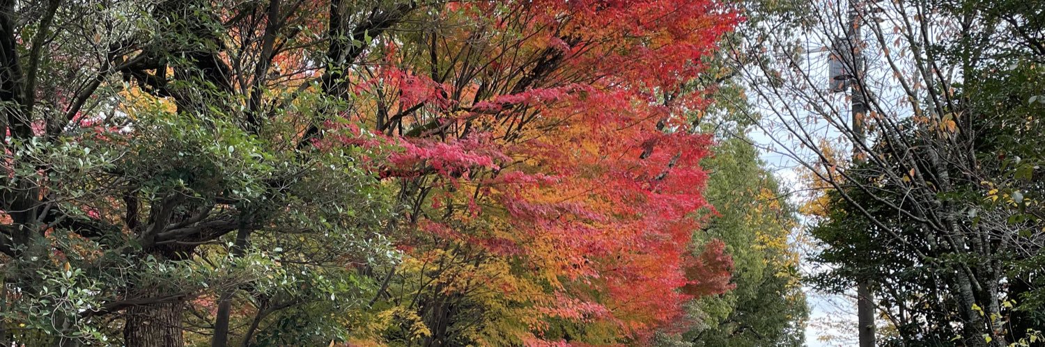 tomo_10653's profile banner image