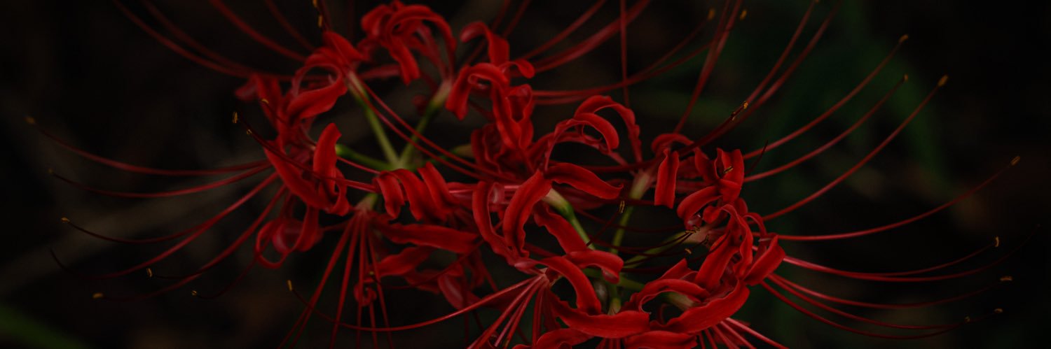 Ryeko93's profile banner image