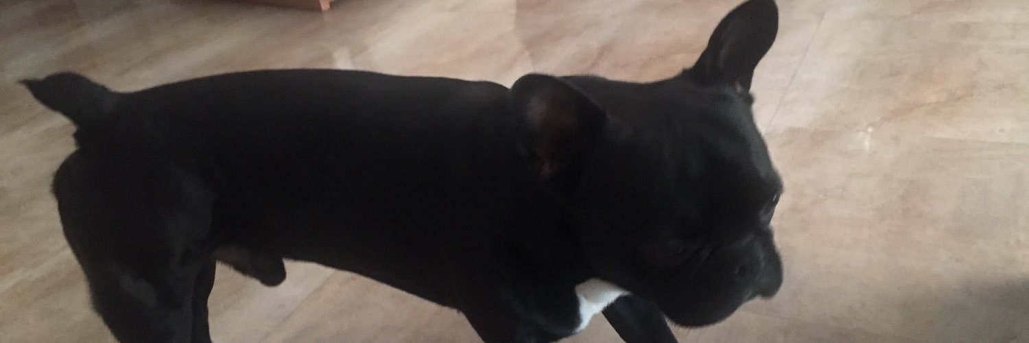 Ricard Sánchez banner